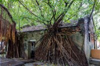 Somit geht es nach der ungeplanten  Zusatznacht in Kaohsiung langsam an der Westküste wieder in Richtung Taipeh. Hier das Anping Treehouse in Tainan.